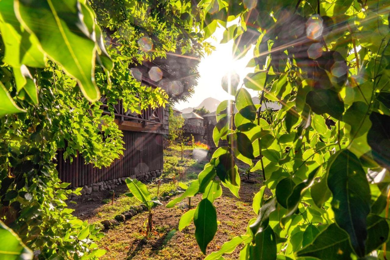 Jungle Bay Dominica Hotel Soufriere Exterior foto